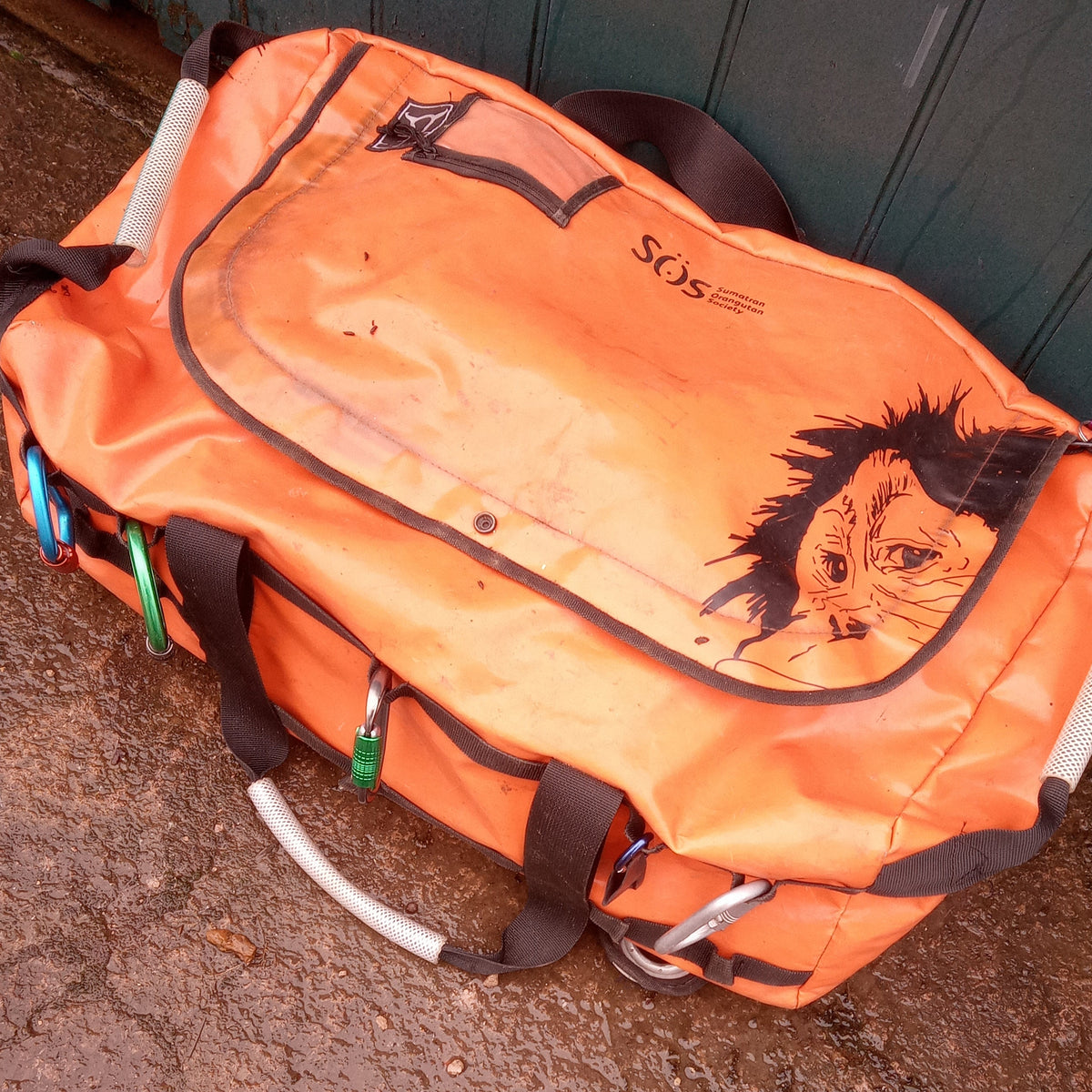 Thorough Examination on Climbing Kit