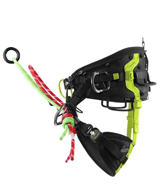 Edelrid TREEREX II