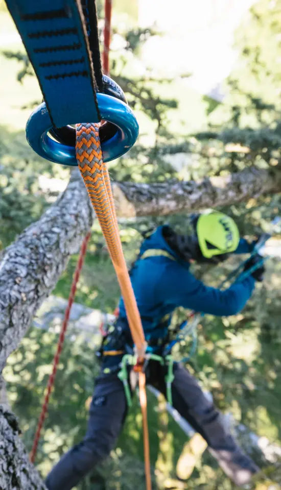 Edelrid WOODPECKER 11.7MM 1-SPT 36m